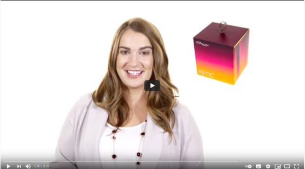 We-Vibe Sync video youtube ukázka jak funguje