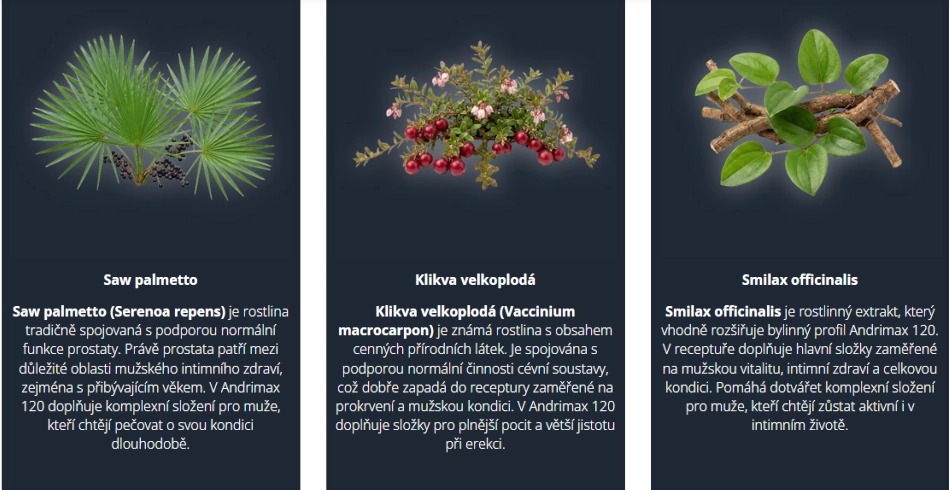 Andrimax 120 doplňuje recepturu Saw palmetto, Klikva velkoplodá, Smilax officinalis