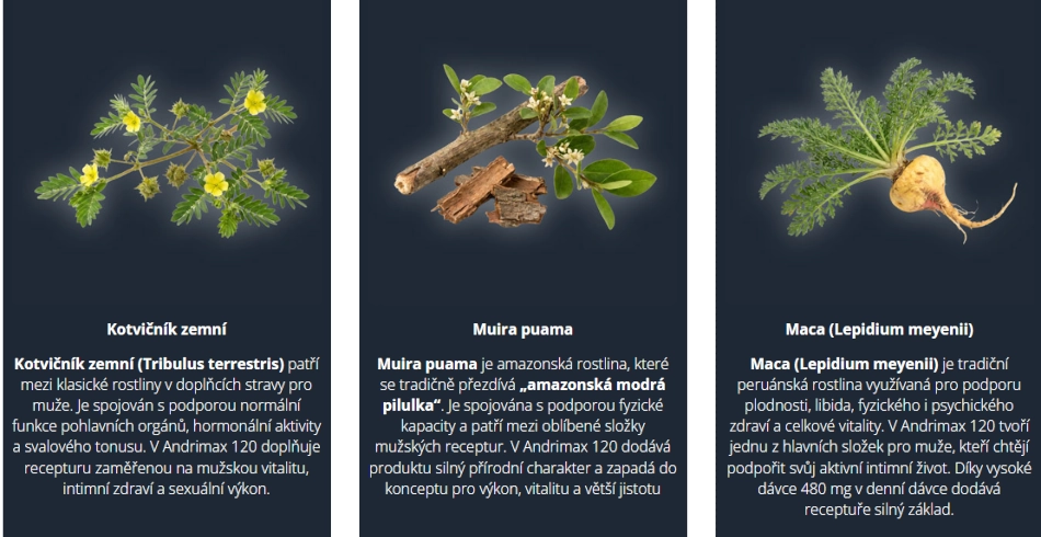 Andrimax 120 doplňuje recepturu Kotvičník zemní, Muira puama, Maca