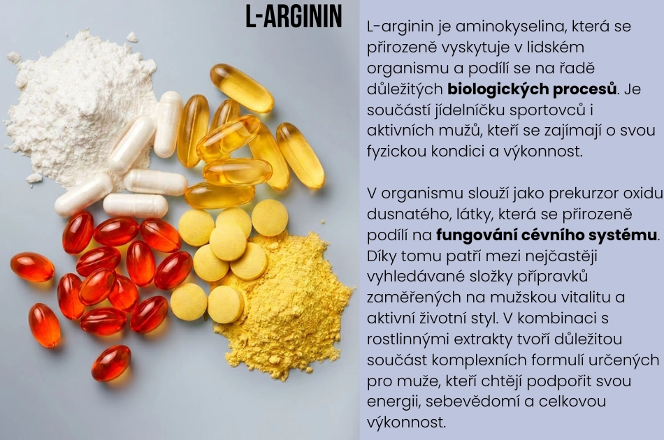 Andrimax 24 obsahuje L-arginin je to důležitá aminokyselina