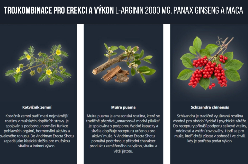 L-arginin 2000 mg, Panax ginseng a Maca tvoří hlavní základ Andrimax Erecta Shotu