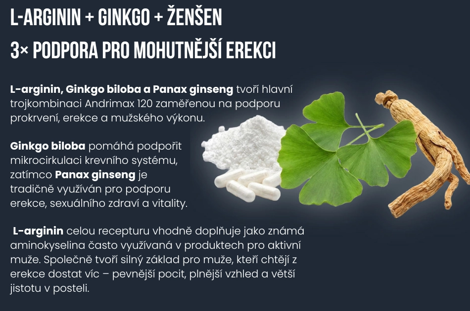 L-arginin, Ginkgo biloba a Panax ginseng tvoří hlavní trojkombinaci Andrimax 120